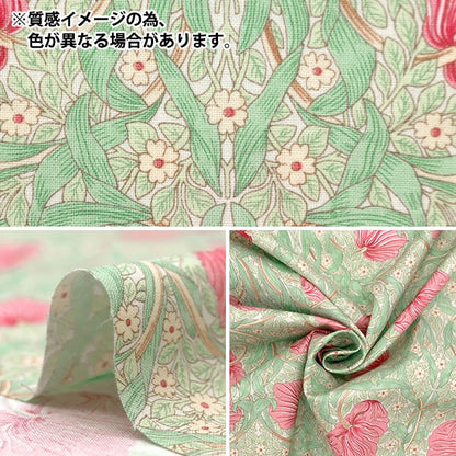 [From quantity 5] Fabric "Moda Best of Morris Sheeting Pinpanel Pink 8365-67]