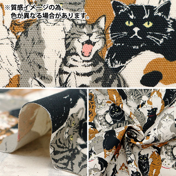 [From quantity 5] Fabric 『Oxford Animal cat pattern 1F Ban color OX41401-1F]