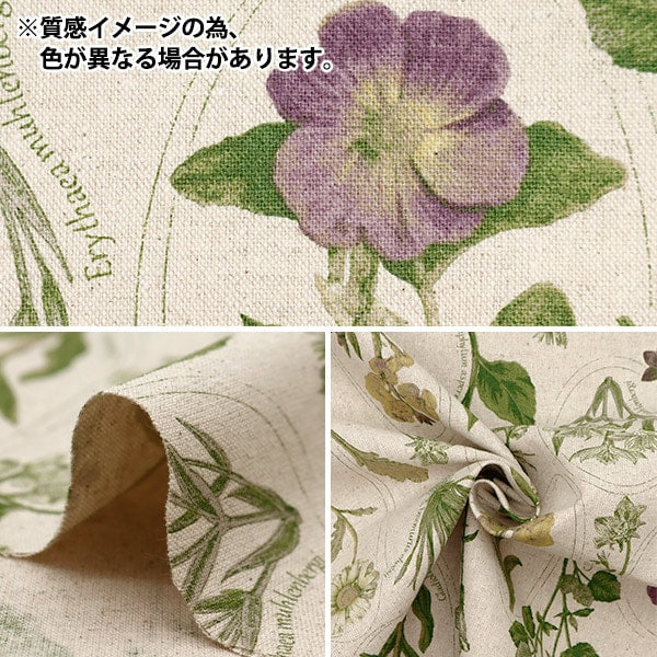 [From quantity 5] Fabric "Cotton linen canvas plant picture book Sepia purple clphen-sepp"