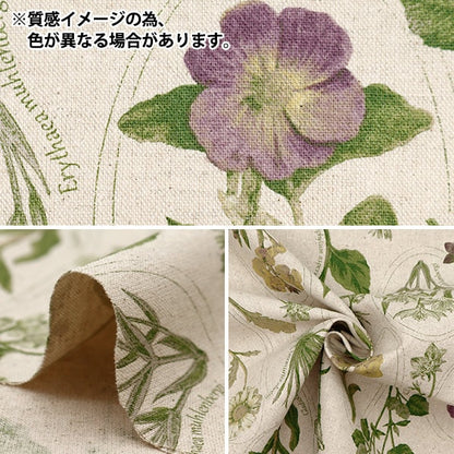 [From quantity 5] Fabric "Cotton linen canvas botanical picture book vitamin orange clphen-vior"