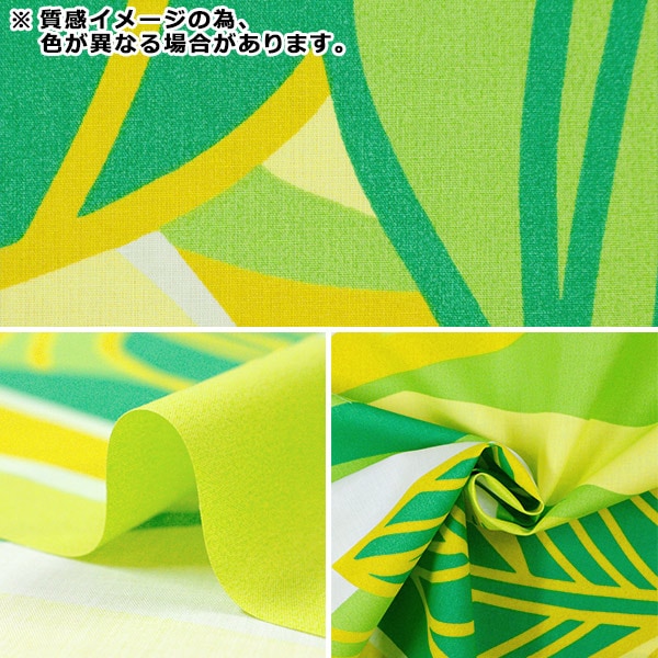 [From quantity 5] Fabric "Maunaroa T/C Hawaii Amplint Banana Leaf Blue YFOP3109"