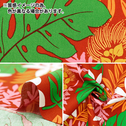 [From quantity 5] Fabric "Broad Hawaii Amplint Lint Leaf Brown 282-C-BR"