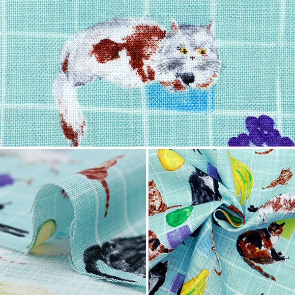 [De la quantité 5] Fabric "Message papier Morley Cross Cat and Table Fruit Blue Egxa-8003-1a" Kokka Kokka