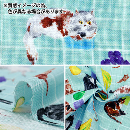 [From quantity 5] Fabric "Paper Message Morley Cross Cat and Table Fruit White EGXA-8003-1C" KOKKA