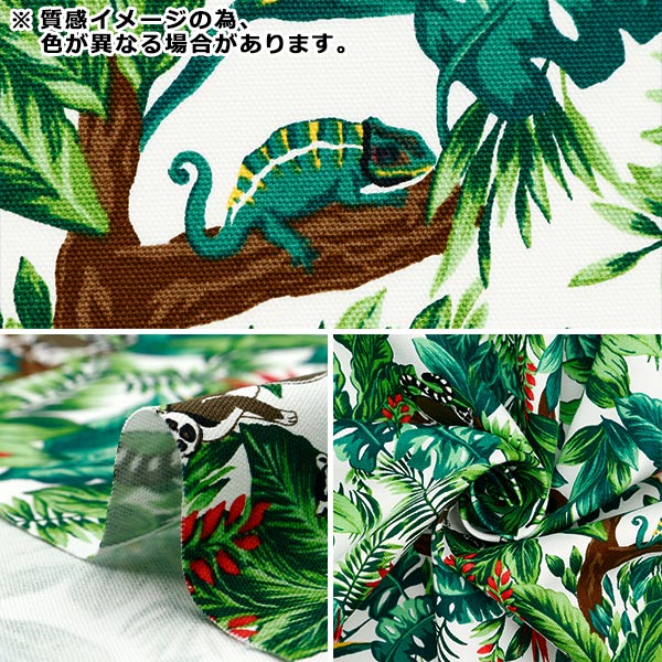 [De la quantité 5] tissu "oxtropical kinari ap42813-1b"