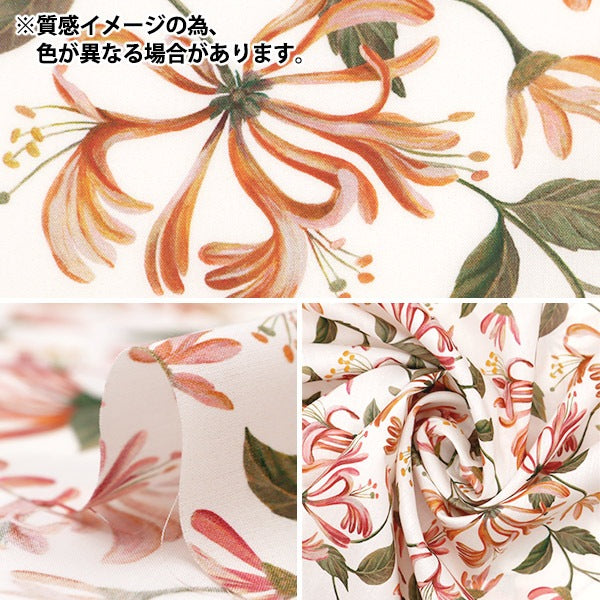 [À partir de 5] tissu "Liberty tissu tanalone miel sackle danse 3634233-24bu" Liberty Japan Liberty Japan