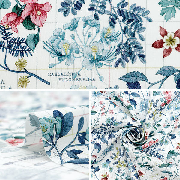 [From quantity 5] Fabric "Liberty Fabric Tana lawn Botanists Jane 3634234-24AU " Liberty Japan