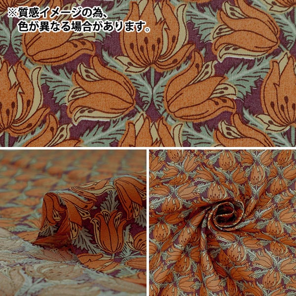 [Aus Quantität 5] Stoff "Liberty Fabric Tanalone Evrint Trail 3634294-24bu" Liberty Japan Liberty Japan