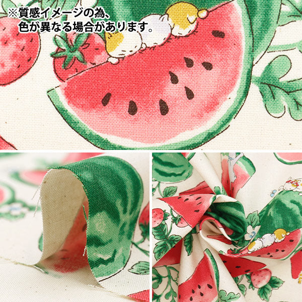 [الكمية من 5] قماش "NOVA Sheeting Watercolor Watermelon White x Yellow NSE-WACA-WHYE" KOKKA Kokka [Yuzawaya Original]