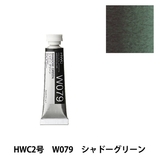 Dipinto "Watercolor trasparente W079 Shadow Green HWC2" Holbein Holbein