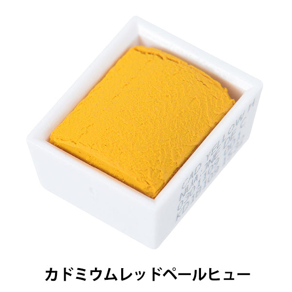 Paints "Cotman Water Color Half Bread 109 Cadmium Yellow Huhe 3110109" WINSOR & NEWTON