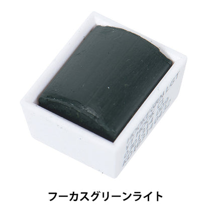 Paints "Cotman Water Color Half Pan 314 Fucus Green Light 3110314" WINSOR & NEWTON