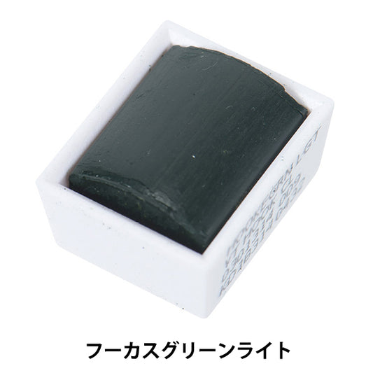 Paints "Cotman Water Color Half Pan 314 Fucus Green Light 3110314" WINSOR & NEWTON