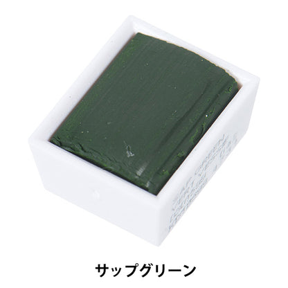 Pintas "Cotman Water Color Half Bread 599 Sap Green 3110599" Winsor y Newton