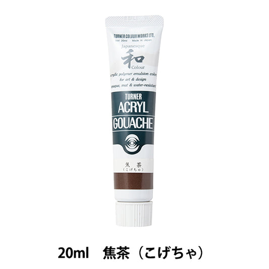Paints "Acrylic Gash 20ml Turner Turner Color Color