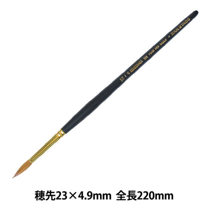 Pennello per immagini "dipinto ad acquerello Pure Sable Round 110 Punto extra n. 10 T909-110-10" Rembrandt