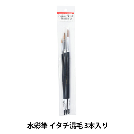 그림 브러시 "그림 세트 6 수채화 브러시 마모 혼합 머리"Holbein Holbein