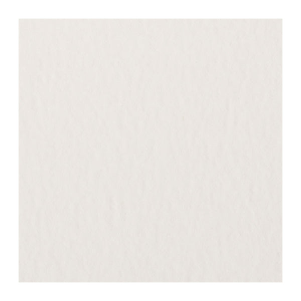 Рисование бумаги "Watson Block 300G F4 NW-1404" Muse Muse