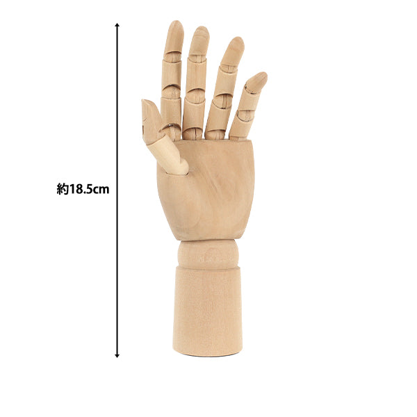 drawing model "Hand model Akh-g”
