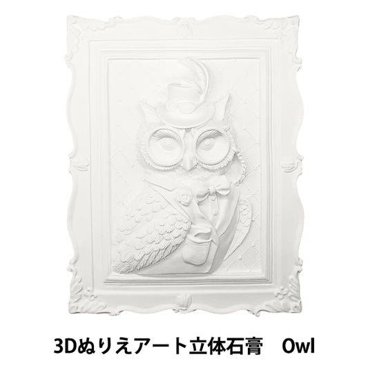 Ensemble de fournitures d'art "Coloriage 3D Art 3D Plâtre Animal Owl 3D"