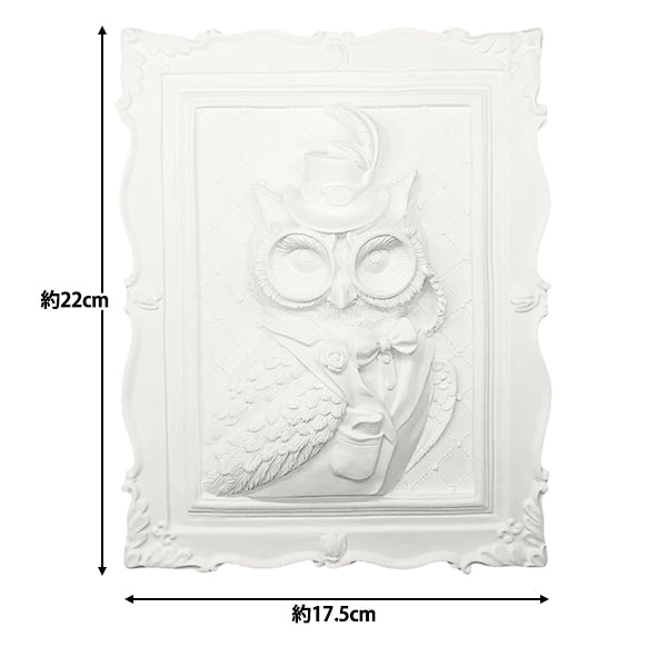 Conjunto de suministros de arte "ART 3D Coloring 3d yeso animal búho 3d"