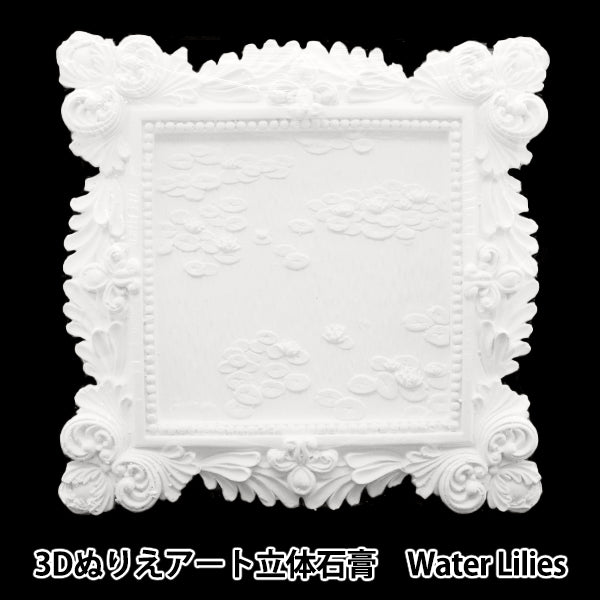 Conjunto de suministros de arte "3d para colorear arte 3D yeso maestro de agua lirios 3d"