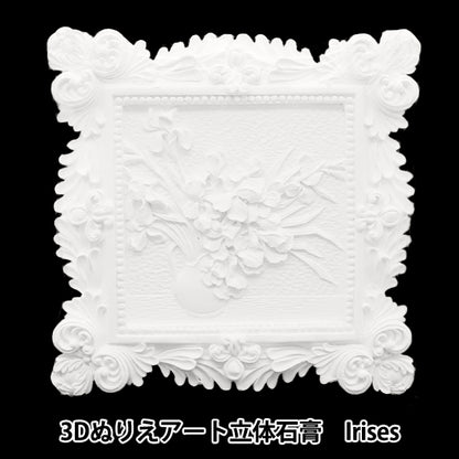 Ensemble de fournitures d'art "Coloriage 3D Art 3D Plaster Masterpiece Irises 3D"
