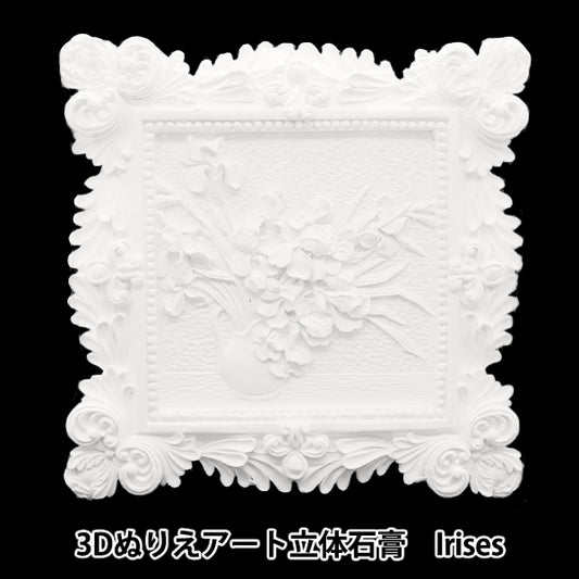 Ensemble de fournitures d'art "Coloriage 3D Art 3D Plaster Masterpiece Irises 3D"