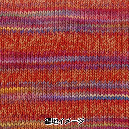 Otoño e inviernoHilos "Hacer make (maquillaje) 20 ° color Olympus