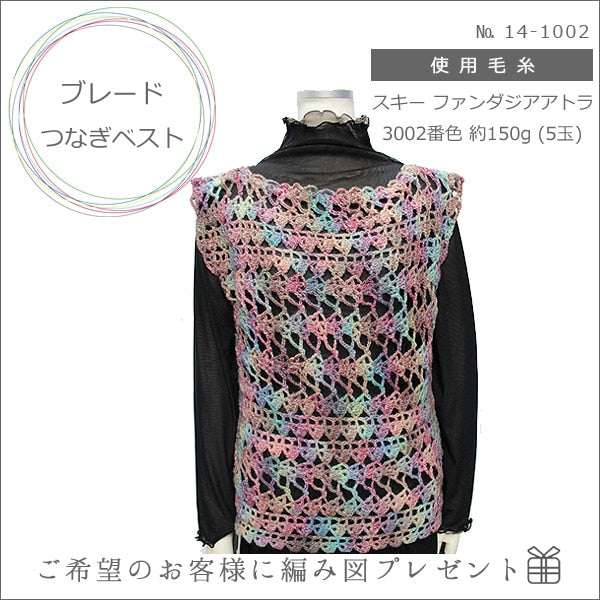 الخريف/الشتاءخيوط الغزل "FANTASIA ATLA (فانتازيا أطلس) اللون 3004" خيوط التزلج SKIYARN