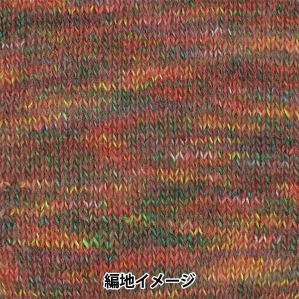 Fall and winterYarn "Rotante 2nd color" Puppy