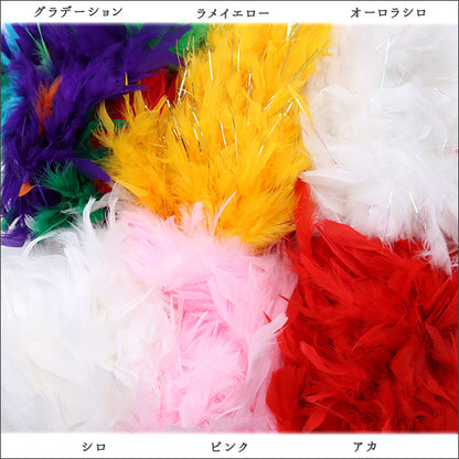 Décoration de plumes "Chandry Aurora Shiro"