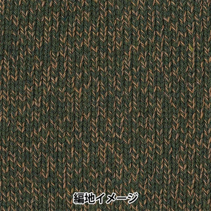 Autunno e invernoFilato "Tweed Palace di Tree HouseTweed) 506 ° colore] Olympus