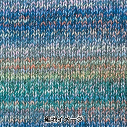 Fall and winterYarn "DINA (Dina) 2nd color" Hamanaka