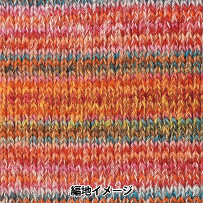 Fall and winterYarn "DINA (Dina) 3rd color" Hamanaka