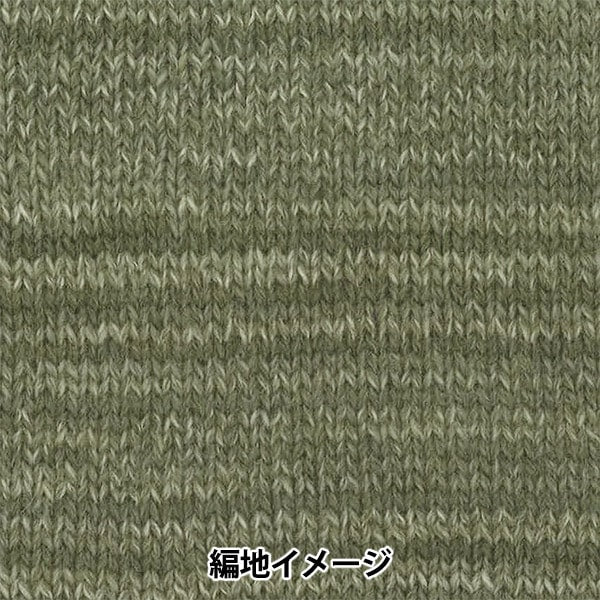 가을과 겨울털실 "Tree House Famille (Tree House Famille) 605 컬러" Olympus