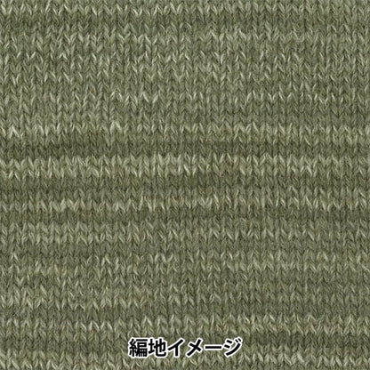 가을과 겨울털실 "Tree House Famille (Tree House Famille) 605 컬러" Olympus