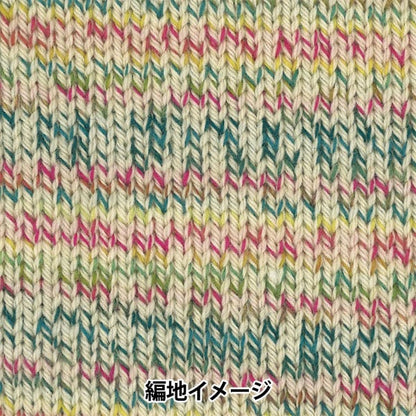 Fall and winterYarn "TREE HOUSE LIETO (Tree House Riet) 701 color" Olympus