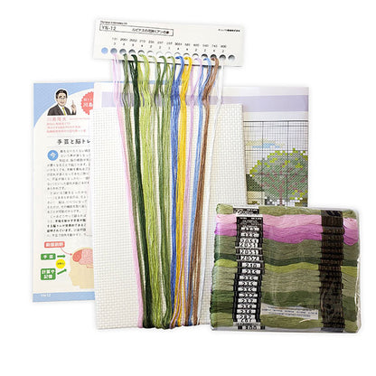 Kit de broderie "House de l'entraînement au cerveau croix de Stitchan YN-12"