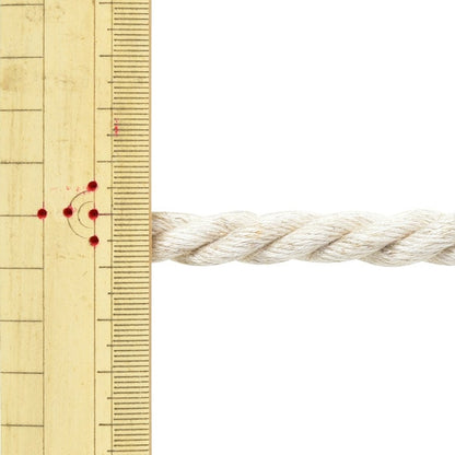 [Dalla quantità 5] Materiale della borsa "ASAE -Ryon Codice n. 32"