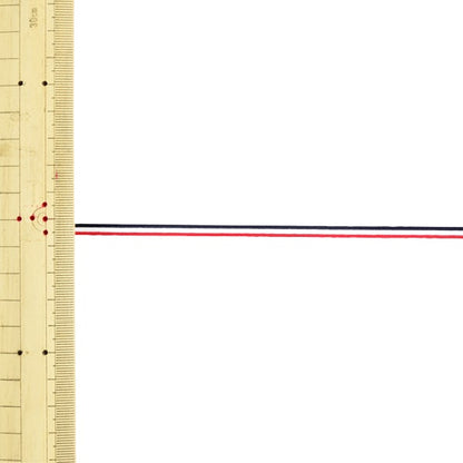 [From quantity 5] HandicraftTrim "Polyester Stripe Tape 114-125-001 Tricolor" DARIN Darin