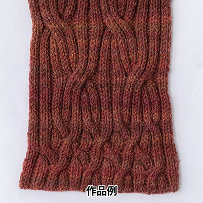 Autunno e invernoFilato "Tree House Breath 802 Colore" Olympus