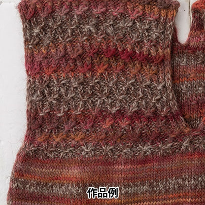 가을과 겨울털실 "메이크업 메이크업 100 1012 컬러" Olympus