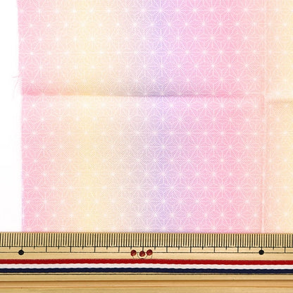 Pâte "Coupe Cross Small Fabric Imadoki Pattern japonais TTF-09"