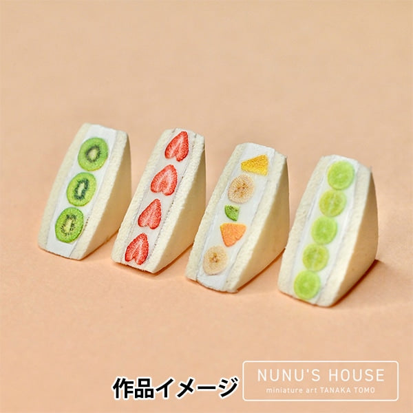 レジン材料 『ミニチュア 田中智プロデュース フルーツの断面 1 RC-TNK