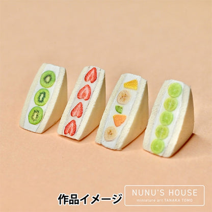 Resin material "Miniature Satoshi Tanaka Produced Fruit cross section 2 RC-TNK-119" resin club