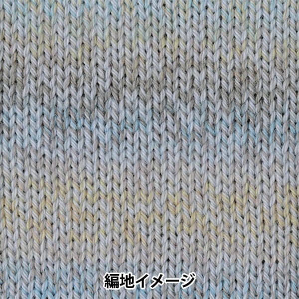 秋冬毛糸 『パーセントバリエーション 312番色』 RichMore リッチモア