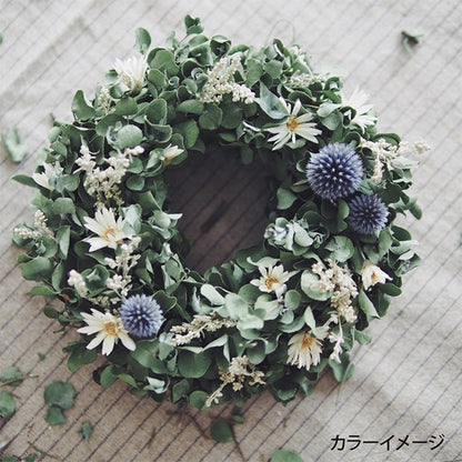 刺繡線程“帶啟動的綠色租賃GP-25C的花園派對刺繡線程” Olympus