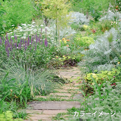 StickereiGarn "Gartenparty -StickereiGarnHerb Garden GP-100B mit Set Spool " Olympus