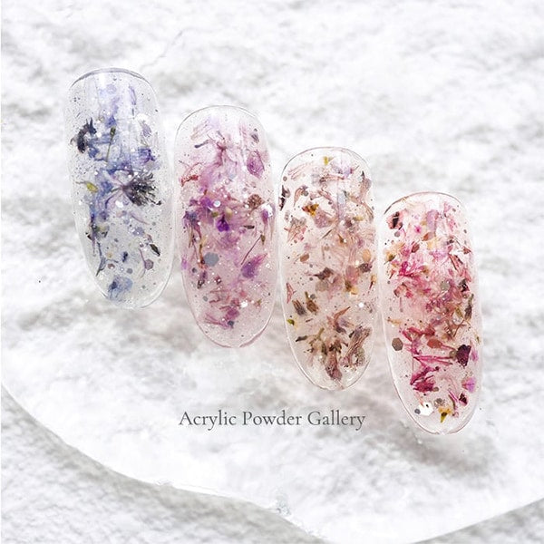 Resin material "Acrylic Powder Flower Collection 3 3rd color FC3-3" Smint Esmint